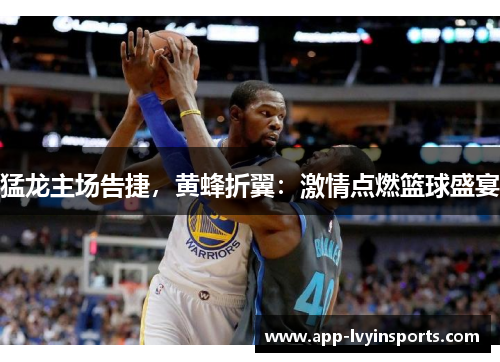 猛龙主场告捷,黄蜂折翼:激情点燃篮球盛宴